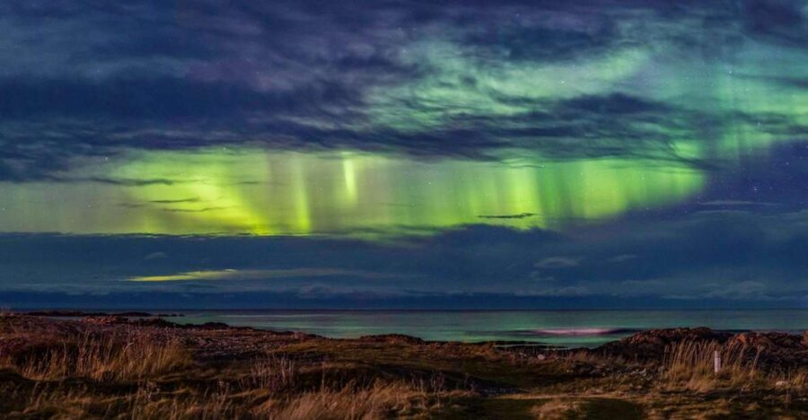 From Svolvær: Guided Northern Lights Tour by Van - The Experience: What to Expect on Your Northern Lights Tour