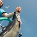 From Svolvaer: Lofoten Fishing Boat Cruise - Who Should Consider This Tour?