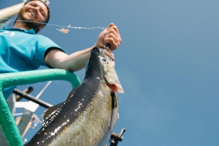 From Svolvaer: Lofoten Fishing Boat Cruise - Who Should Consider This Tour?