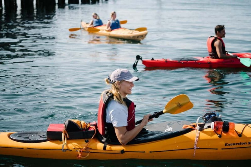 From Svolvær: Lofoten Guided Kayak Experience - What Makes the Experience Special?