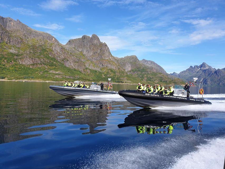 From Svolvaer: Trollfjorden Wildlife RIB Cruise - The Scenic Value: Fjords and Mountain Views