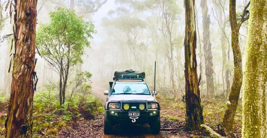 From Sydney: 2-Day Blue Mountains Camping 4WD & River Cruise - Exploring the 2-Day Blue Mountains Camping & 4WD Safari