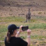 From Sydney: Australian Wildlife Safari with Lunch & Dinner - Final Thoughts: Is It Worth It?