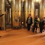 From Sydney: Award-Winning Hunter Valley Wine & Cheese Tour - Final Thoughts: Is This Tour Right for You?