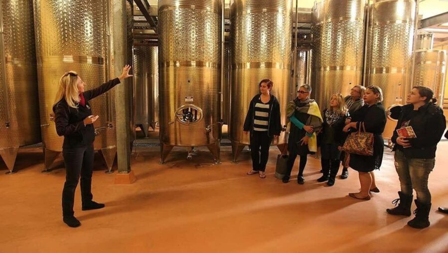From Sydney: Award-Winning Hunter Valley Wine & Cheese Tour - Final Thoughts: Is This Tour Right for You?