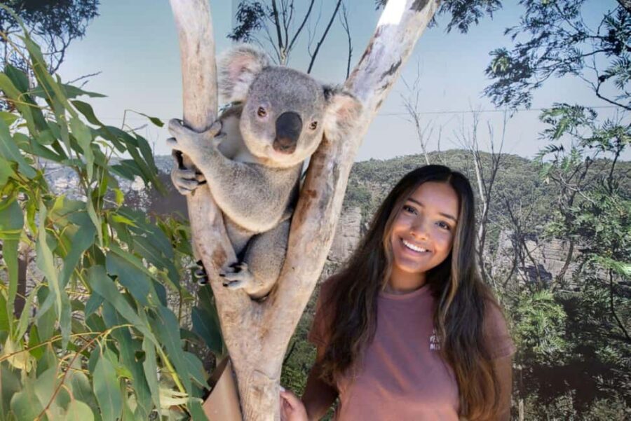 From Sydney: Blue Mountains Day Tour & Hop-on, Hop-off Tour - What’s Included and What’s Not