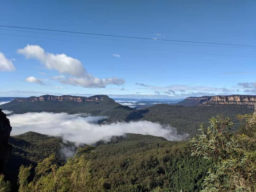 From Sydney: Blue Mountains Private Tour with Wildlife Park - Who Should Consider This Tour?