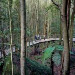 From Sydney: Blue Mountains, Sydney Zoo & Walking Tour - Who is This Tour Best For?