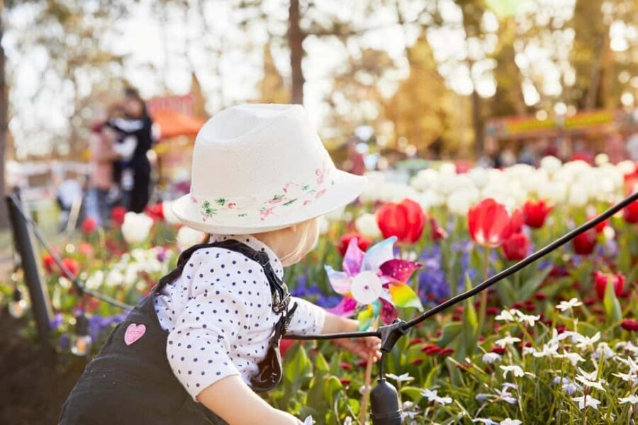 From Sydney: Canberra Floriade Festival Includes Lunch - Who Should Consider This Tour?