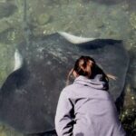 From Sydney: Day Tour to Jervis Bay with Beaches and Koalas - What the Reviews Say
