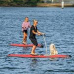 From Sydney: Full Day Tour of Golden Beaches and Ocean Vistas - What’s Included and What to Consider