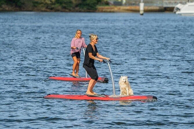 From Sydney: Full Day Tour of Golden Beaches and Ocean Vistas - What’s Included and What to Consider