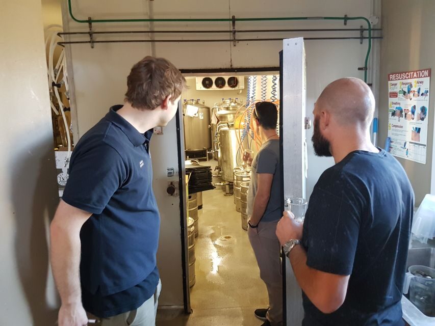 From Sydney: Hunter Valley Multi-Brewery Tour with Lunch - Who Is This Tour Best For?