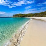 From Sydney: Jervis Bay Day Tour and Dolphin Watching Cruise - The First Stop: Coffee and Breakfast