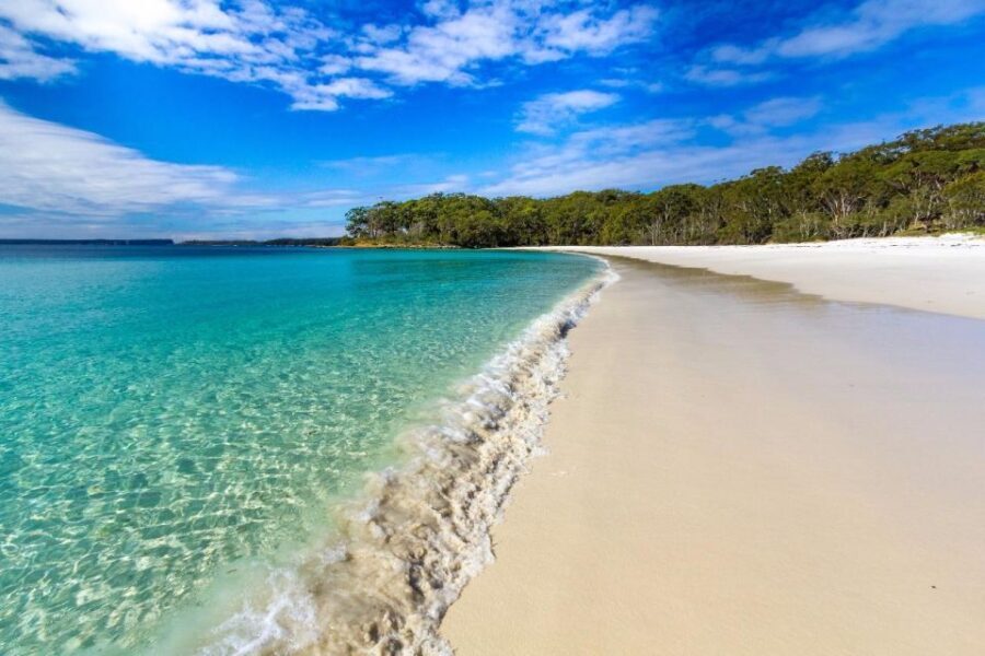 From Sydney: Jervis Bay Day Tour and Dolphin Watching Cruise - The First Stop: Coffee and Breakfast