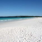 From Sydney: Jervis Bay Tour with Beach, Koalas & Kangaroos - The Value of This Tour
