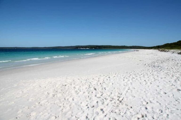From Sydney: Jervis Bay Tour with Beach, Koalas & Kangaroos - The Value of This Tour