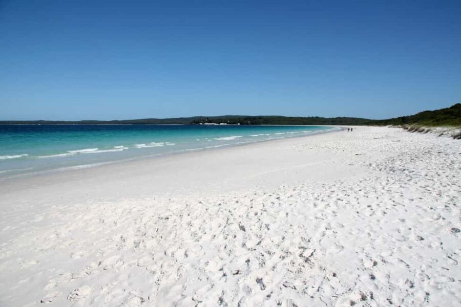 From Sydney: Jervis Bay Tour with Beach, Koalas & Kangaroos - The Value of This Tour
