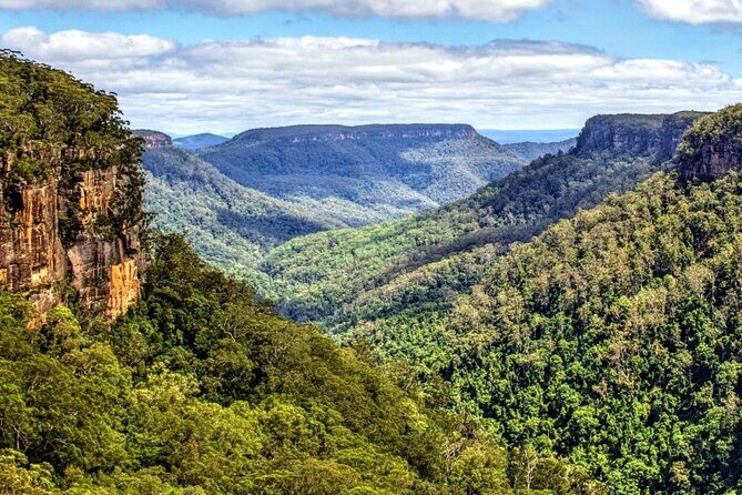 From Sydney Private Tour of Waterfalls Wineries and Wildlife - Who Should Consider This Tour?