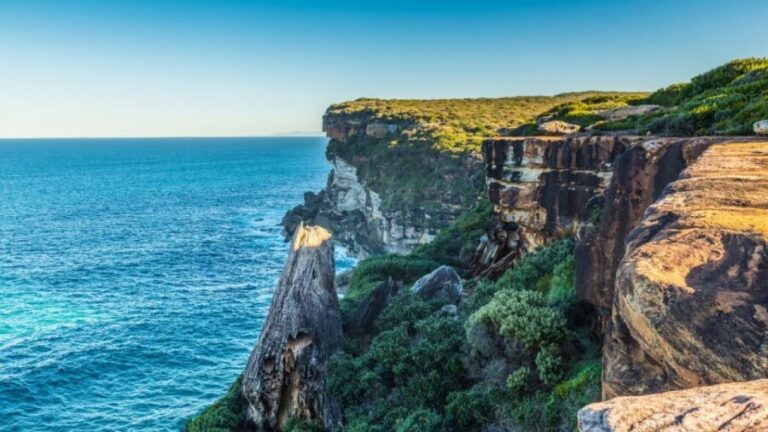 From Sydney: Royal National Park Private Tour - Authentic Experiences and Practical Considerations