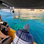 From Tairua: 2 Hour Cathedral Cove Tour with Local Guide - An In-Depth Look at the Tairua Boat Tour