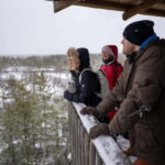From Tallinn: Day Trip to Lahemaa National Park - The Itinerary Breakdown: What You’ll Experience