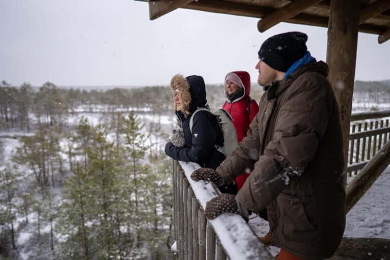 From Tallinn: Day Trip to Lahemaa National Park - The Itinerary Breakdown: What You’ll Experience