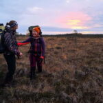 From Tallinn: Guided Bog-Shoe Hiking Tour - A Detailed Look at the Bog-Shoe Hike Experience