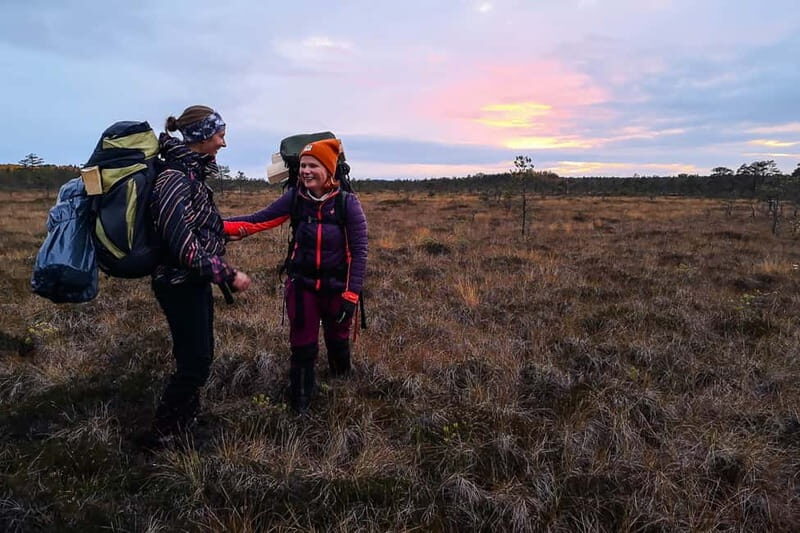 From Tallinn: Guided Bog-Shoe Hiking Tour - A Detailed Look at the Bog-Shoe Hike Experience