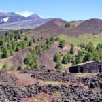 From Taormina: Mount Etna Guided Bus Tour - What the Tour Delivers in Value