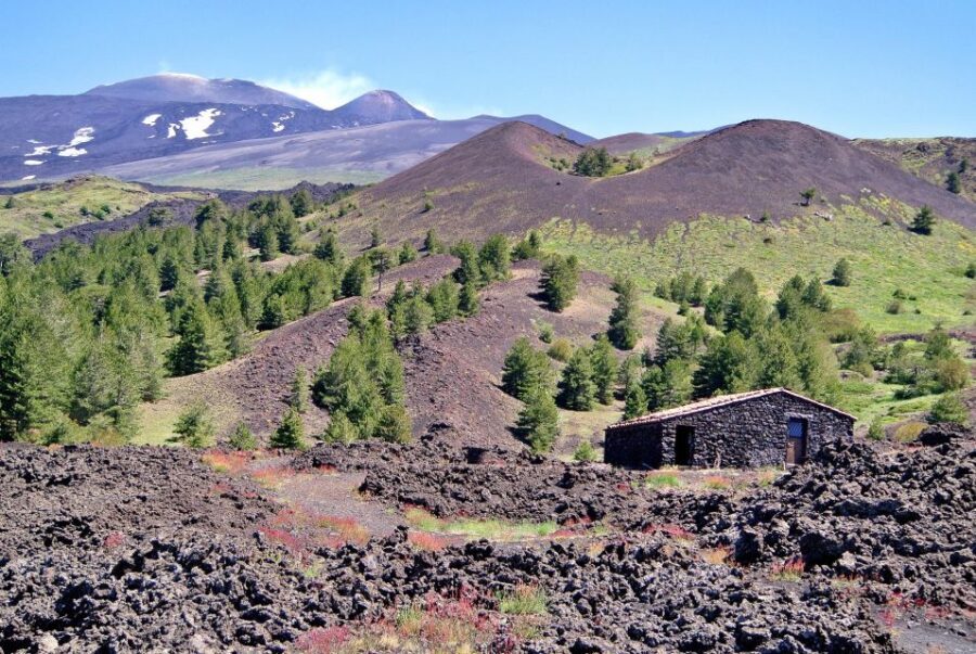 From Taormina: Mount Etna Guided Bus Tour - What the Tour Delivers in Value