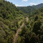 From Taumarunui: The Republic Rail Cart Adventure - FAQ