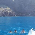 From Tazacorte: Discover the Northwest Coast by Speedy Yacht - The Sum Up: The Ideal Coastal Adventure for La Palma Visitors