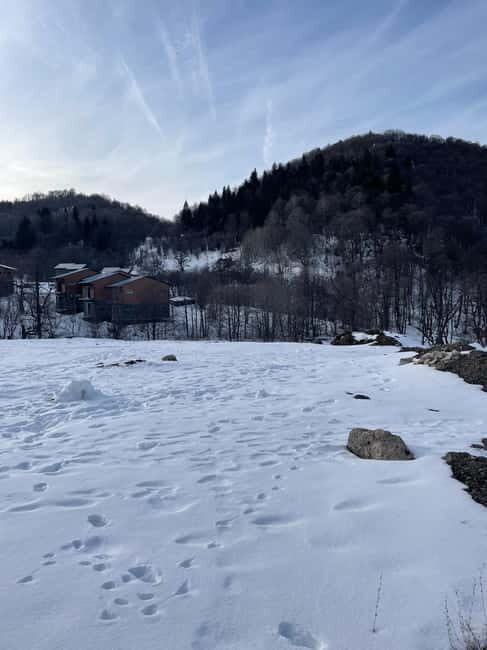 From Tbilisi: Bakuriani and Borjomi Day Trip - Exploring Georgia’s Mountain Gems: Bakuriani and Borjomi Day Tour
