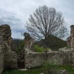 From Tbilisi: Bodbe, Sighnaghi and Telavi Day Trip - A Detailed Look at the Tour