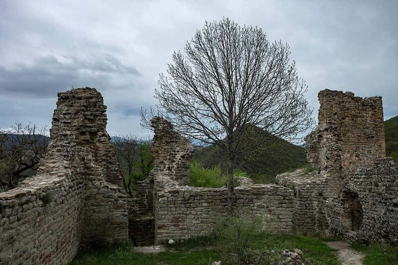 From Tbilisi: Bodbe, Sighnaghi and Telavi Day Trip - A Detailed Look at the Tour