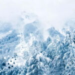 From Tbilisi: Borjomi and Bakuriani Ski Resort Private Tour - The Itinerary in Detail