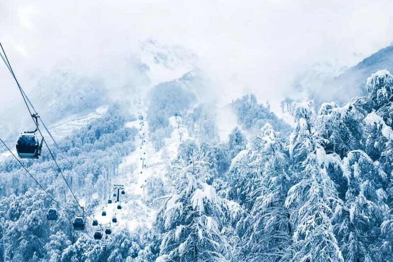 From Tbilisi: Borjomi and Bakuriani Ski Resort Private Tour - The Itinerary in Detail