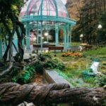From Tbilisi: Borjomi, Rabati, and Vardzia Guided Day Trip - Why This Tour Offers Good Value