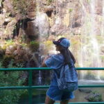 From Tbilisi: Diamond Bridge and Dashbashi Canyon Day Trip - Why This Tour Offers Great Value