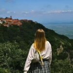 From Tbilisi: Kakheti Wine Region Tour with 9 Wine Tastings - Who Should Consider This Tour?