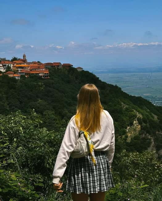 From Tbilisi: Kakheti Wine Region Tour with 9 Wine Tastings - Who Should Consider This Tour?