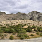 From Tbilisi: Vashlovani National Park Day Trip - Exploring Georgia’s Desert Oasis: A Deep Dive