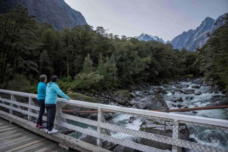 From Te Anau: Milford Sound Coach, Cruise, and Walks - An Honest Look at the Milford Sound Day Trip from Te Anau