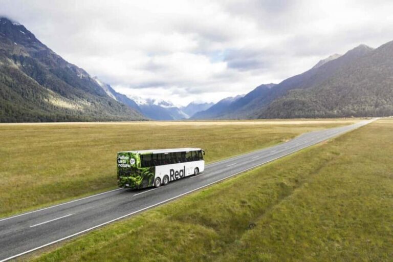 From Te Anau: Milford Sound Cruise and Coach Day Trip - An In-Depth Look at This Milford Sound Day Trip