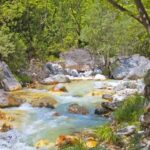 From Thessaloniki: Pozar Thermal Baths & Edessa Day Trip - An In-Depth Look at the Experience