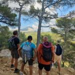 From Tholonet to the Bibémus quarries: Cézanne Hike - An In-Depth Look at the Cézanne Hike