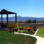 From Tijuana: Valle de Guadalupe Private Winery Tour - Exploring the Valle de Guadalupe Private Winery Tour