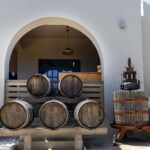 From Tinos: Stemnitsa Winery Tour with Tasting - What’s Included and What’s Not