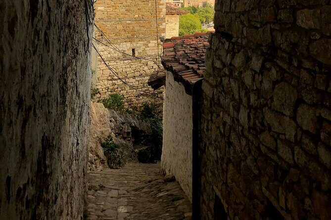 From Tirana: Berat UNESCO Site,Onufri Museum and Belshi Lake Tour - Who Would Enjoy This Tour?